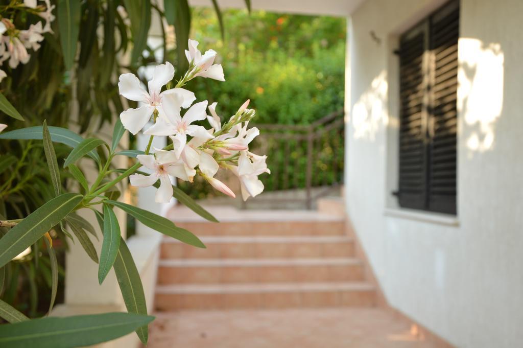 Holiday House Maja Podglavica Kültér fotó